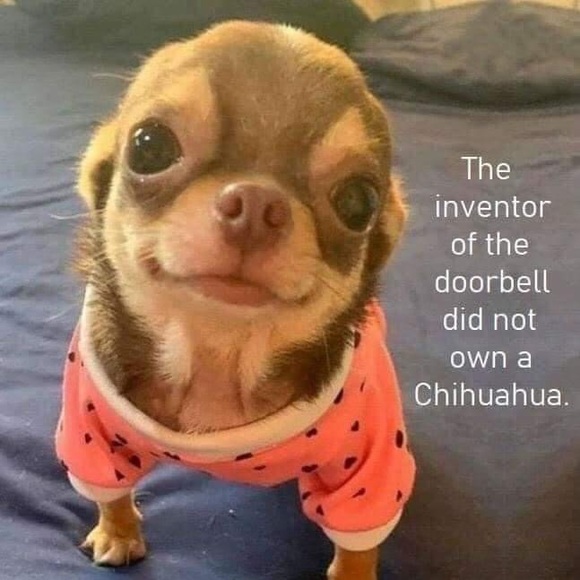 Dog lover’s theme macrame multi tone bracelet - Picture 6 of 8